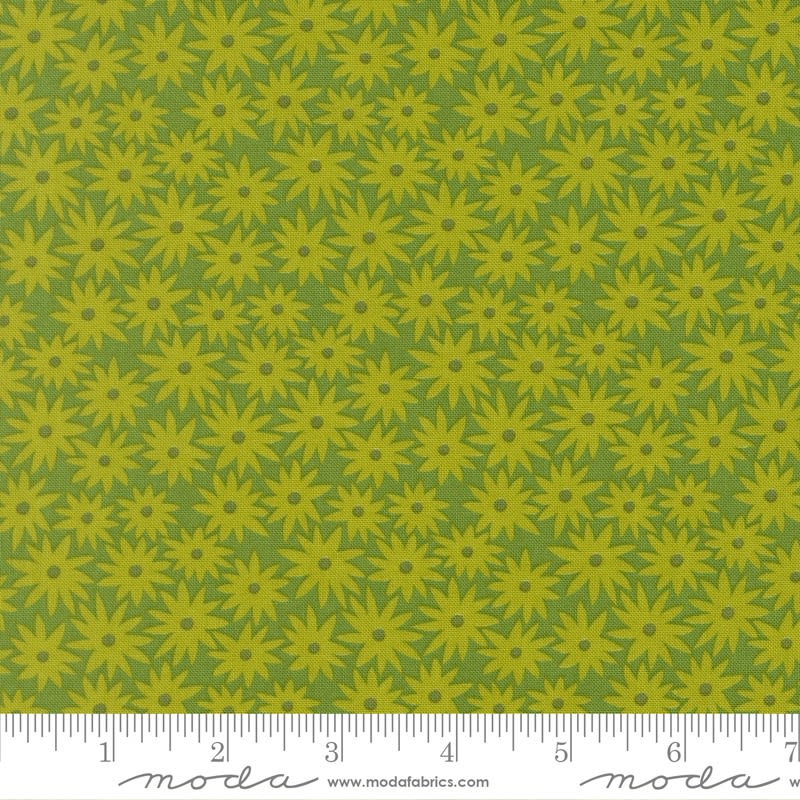 SCENERY: Sedum Limeade (Green) 51270 14 by Elizabeth Hartman