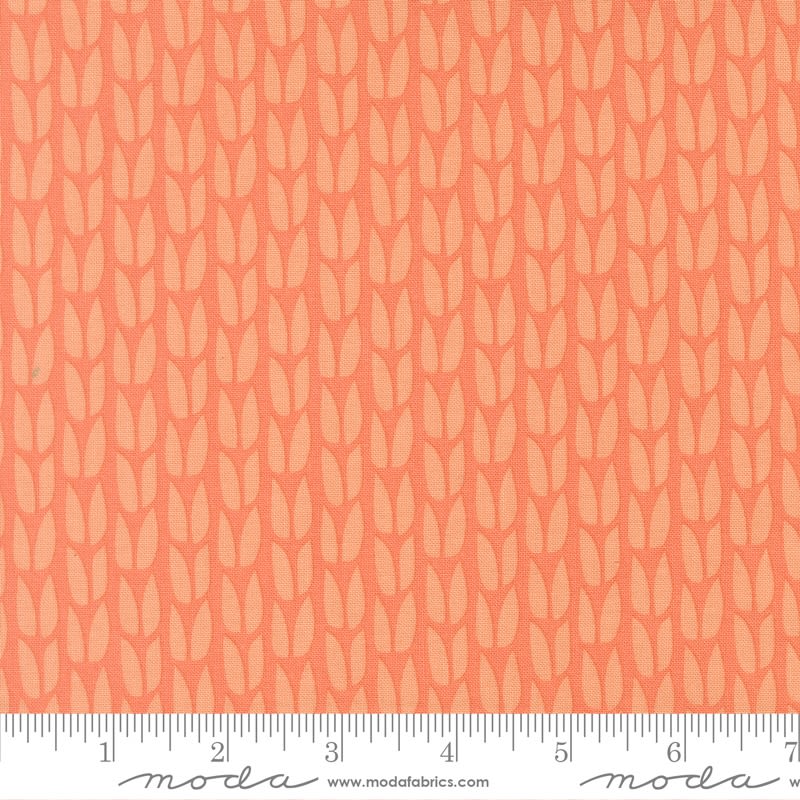 SCENERY:  Sprout Coral 51272 19  by Elizabeth Hartman