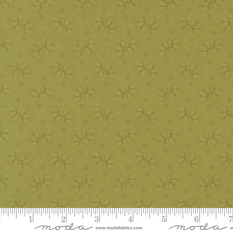 UNITY COLLECTION: Picotage Dot Blender Topiary Green 46267-16
