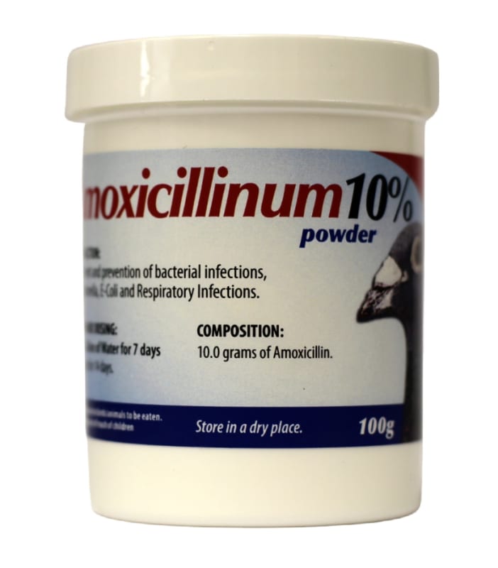 Amoxicillin 10% Powder