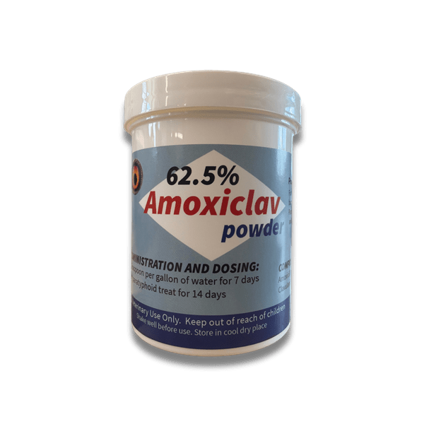 Amoxiclav Powder sold by Vita King
