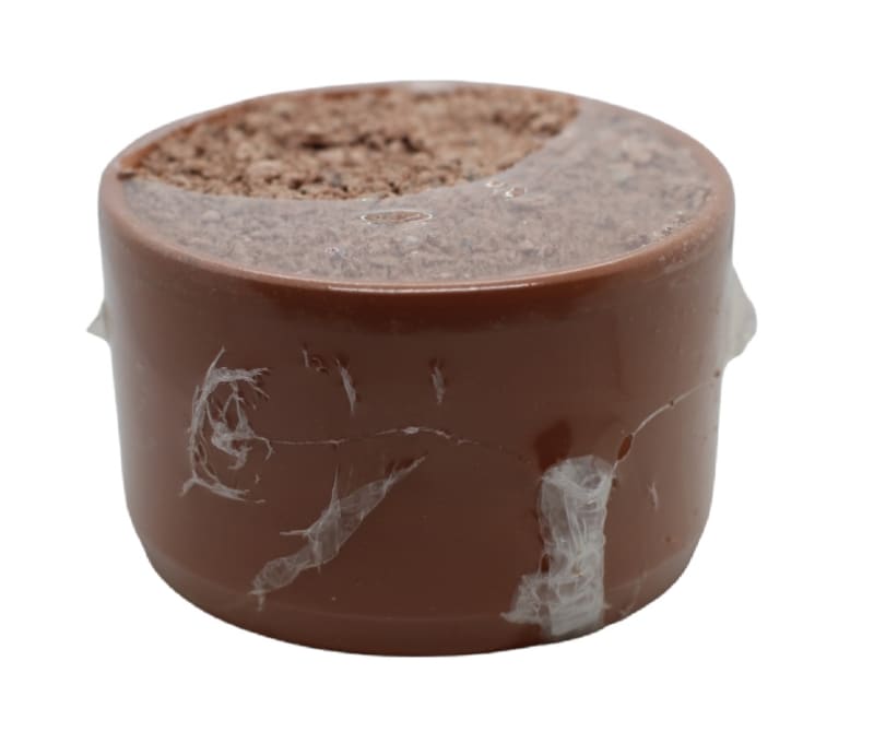 photo of Pickstone in Pot