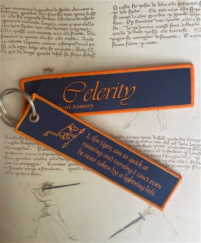 Celerity HEMA Keyring