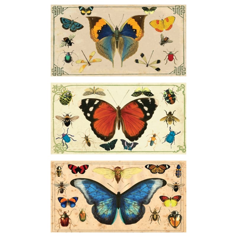 Butterfly & Bugs Matchbox Lrg 24Pack