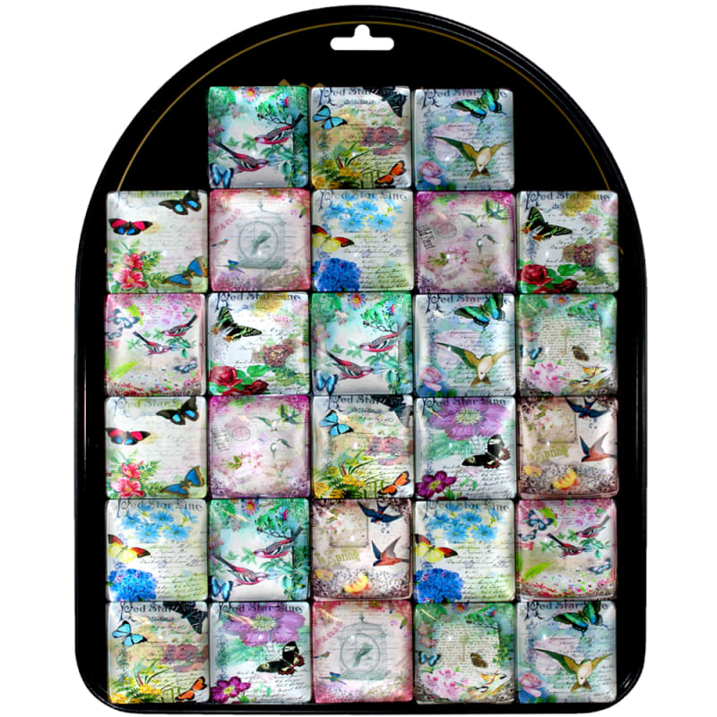 Vintage Bird and Butrerfly Magnets