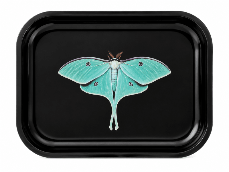 Luna Moth Solo Metal Tray