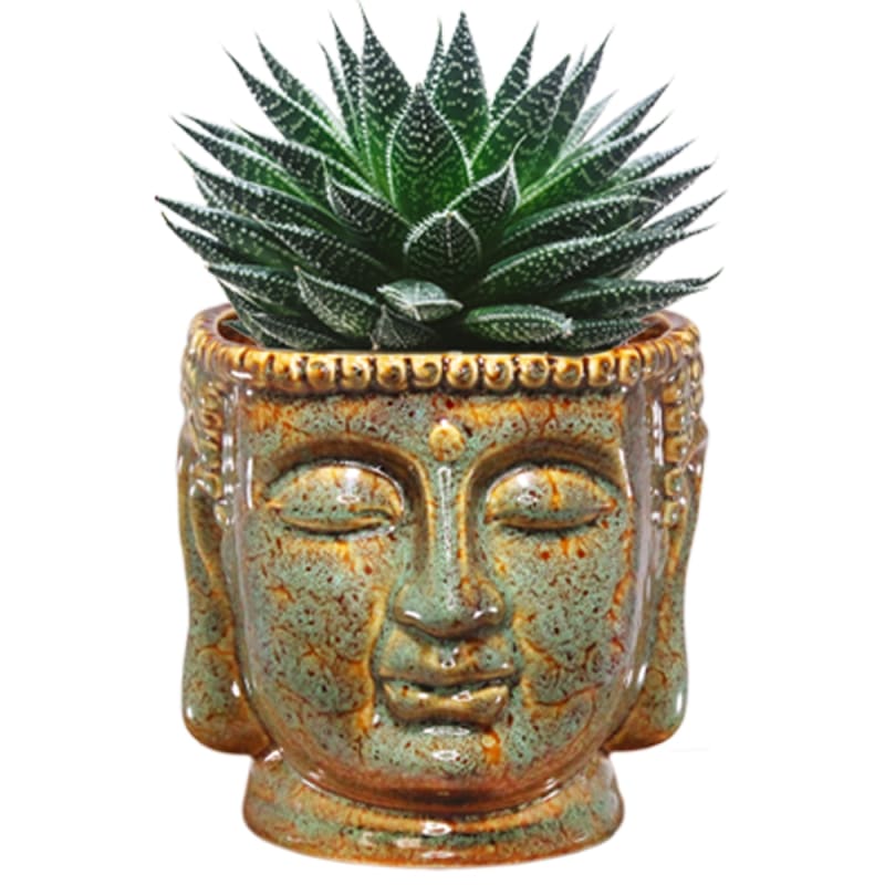 Buddha Bust Porcelain Planter Pot Jade