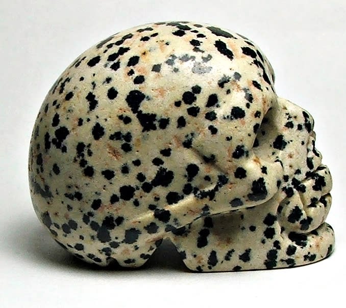 SK-03 50mm STONE SKULL IN DALMATIAN