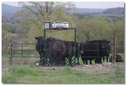 3-D Cattle Equipment, LLC