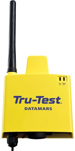 Datamars