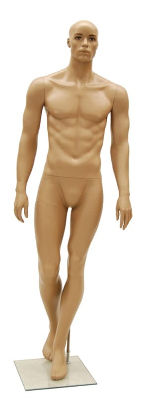 Tan muscular male mannequin with athletic build for retail clothing display and fitness merchandising