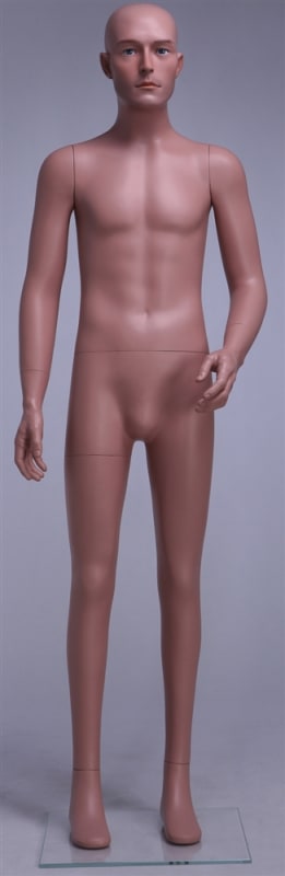 Small Male Caucasian Mannequin 5'6" Tall
