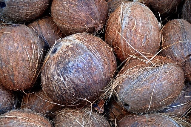 coconut shells