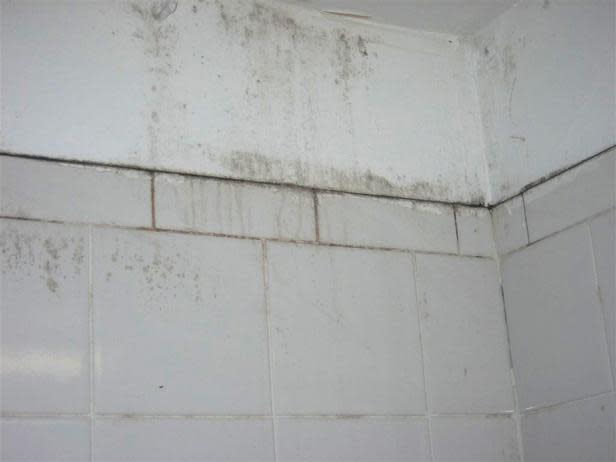 fall allergies - bathroom mold