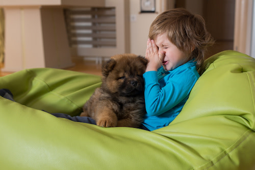 allergic boy with dog