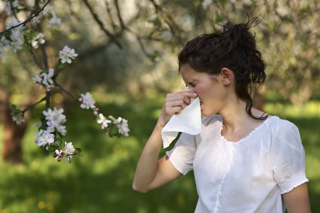 fall allergies on the rise