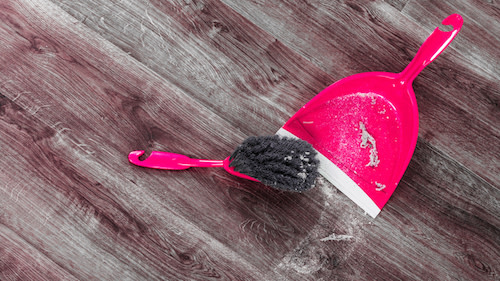household dust and brush