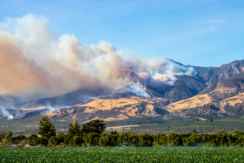 California wildfire