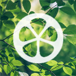 oransi's environmental footprint Oransi Logo in Green