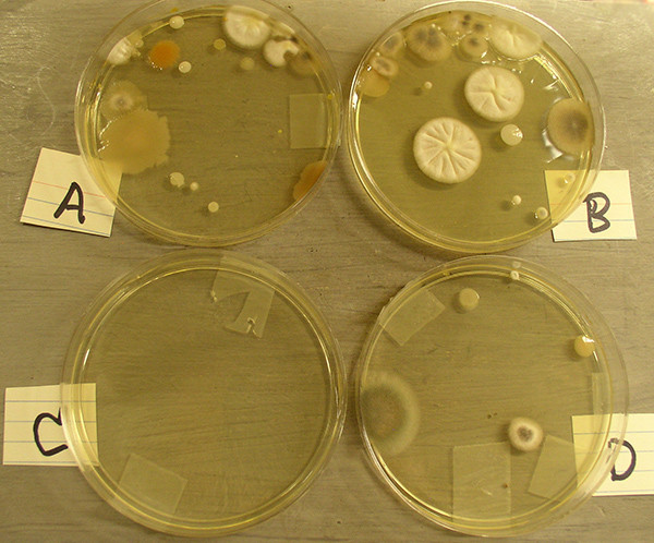 Air Purifier Lab Results