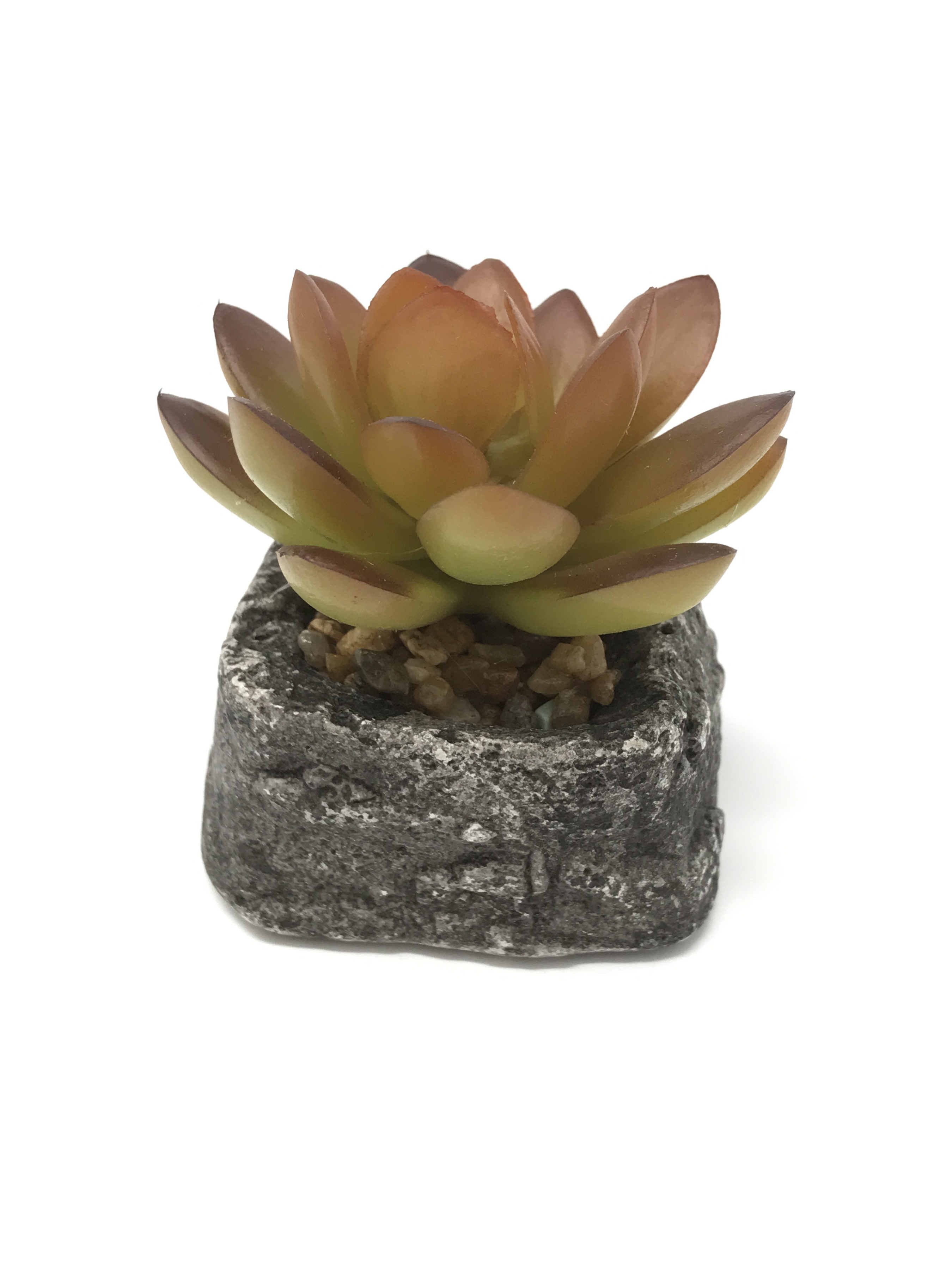 Fake Mini Succulent Plants Artificial Mini Succulent Sepia Orange