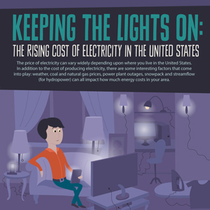 Electricity Costs Infographic