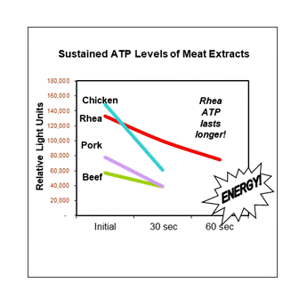 The ATP Energy of the Rhea last longer than other meats