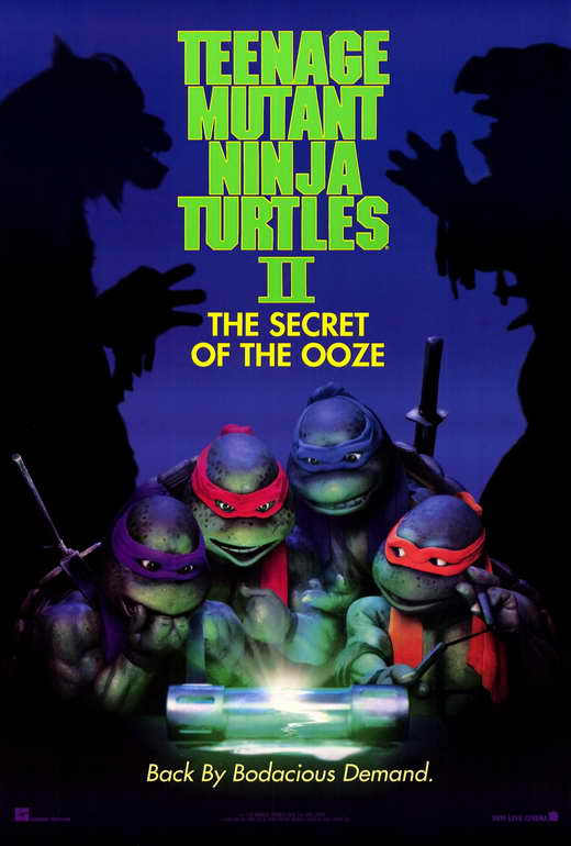 Teenage Mutant Ninja Turtles 3 Movie Poster (11 x 17) - Item # MOV257111 -  Posterazzi