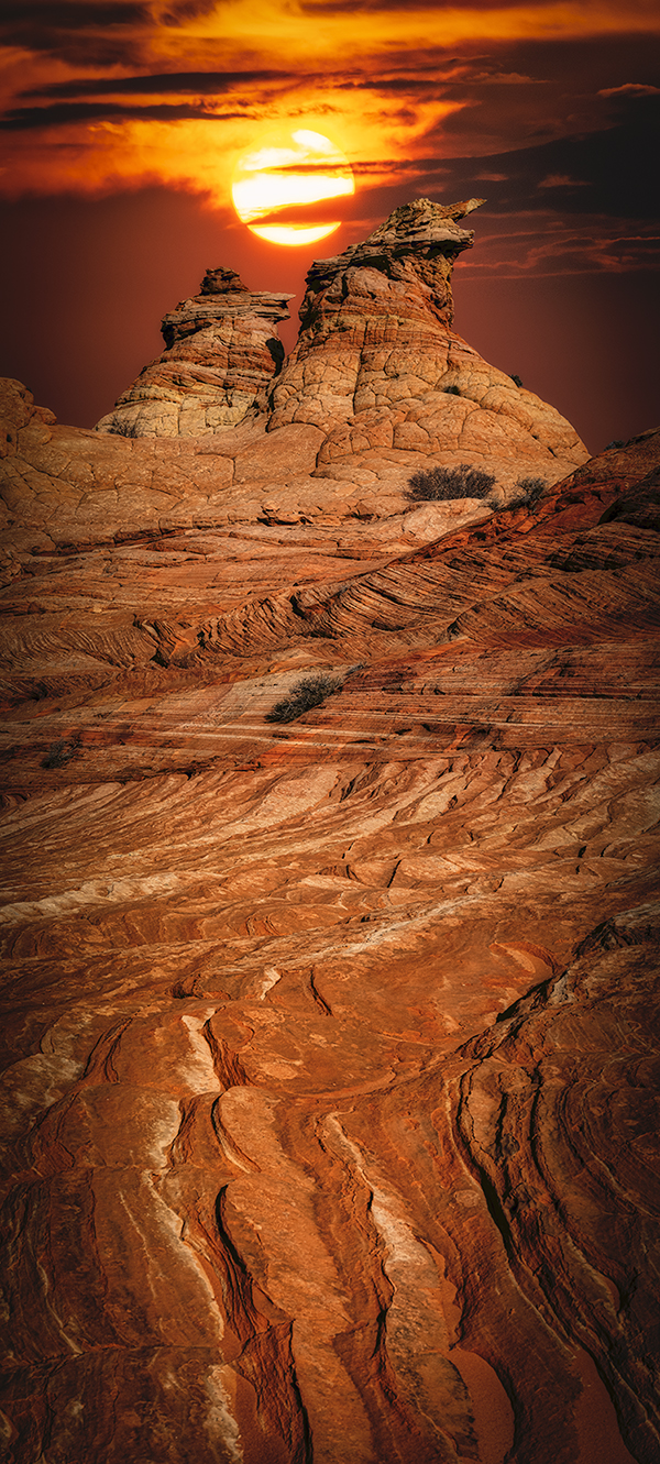 Rhythms Of The Desert