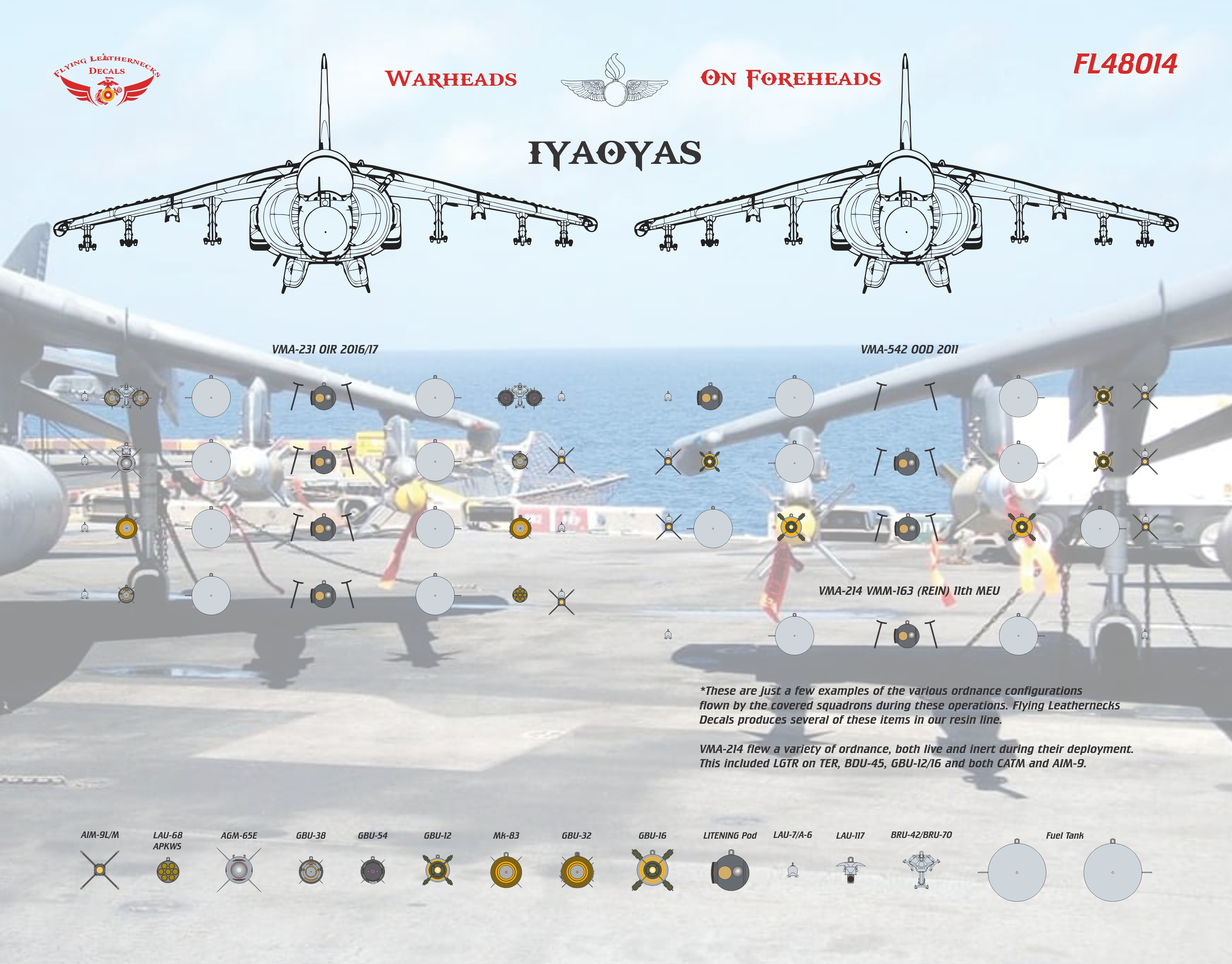ヴァンパイアブライド VMFA(AW)-533 Hawks Marine Fighter Attack Squadron F/A-18D