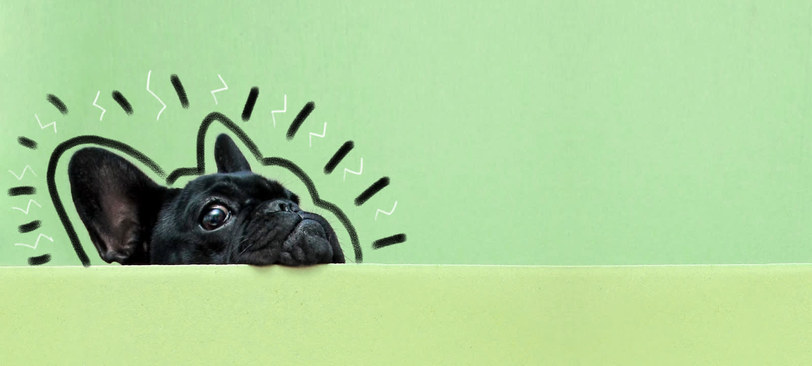 Living life on the wild side