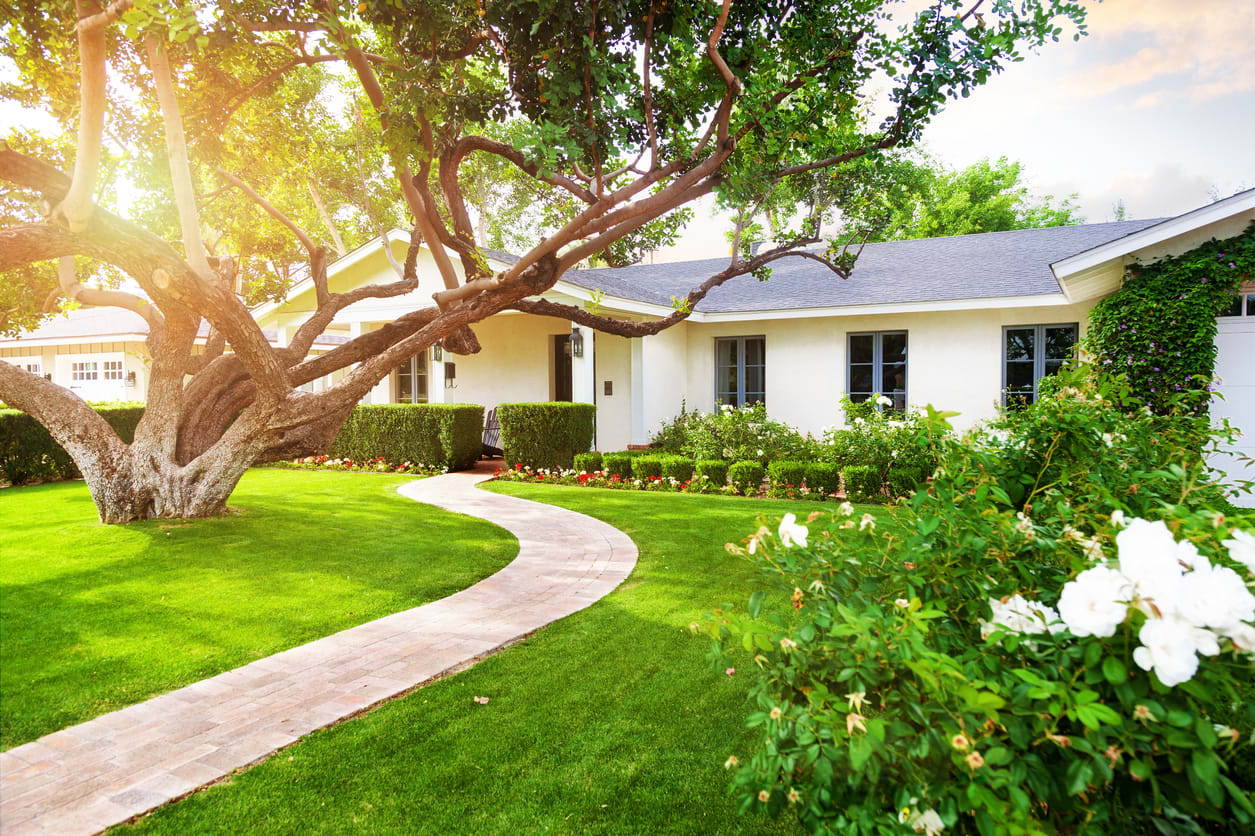 Curb Address Painting