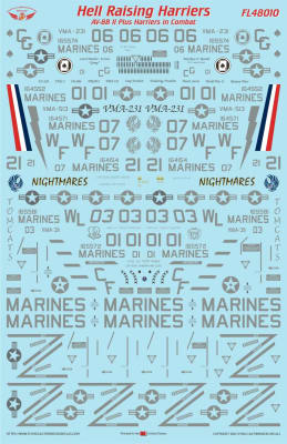 FL48010 AV-8B Harriers
