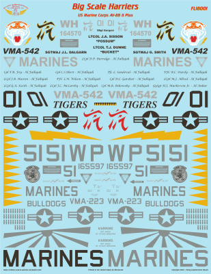 FL18001 Big Scale Harriers for Hobbyboss