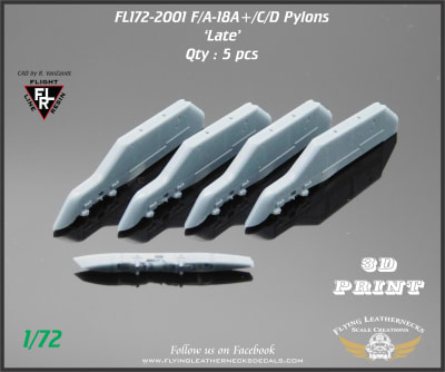 FL172-2001 F/A-18A+/A++/C/D Pylons 'Late'