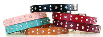 Swarovski Crystal Collars-Medium