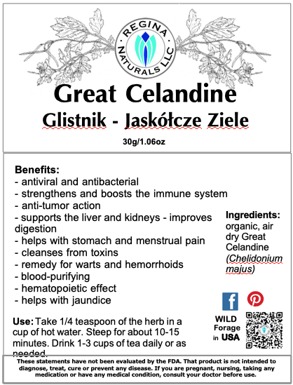 Great Celandine Glistnik - Jaskółcze Ziele