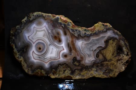 #232  AGUA NUEVA AGATE