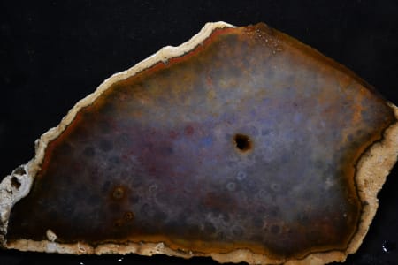 #298 INDONESIA GHOST CORAL