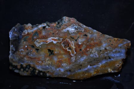 #299 OCEAN JASPER