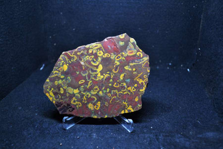 #313    FRUIT JASPER