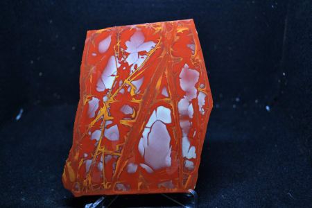 #315  NOREENA JASPER