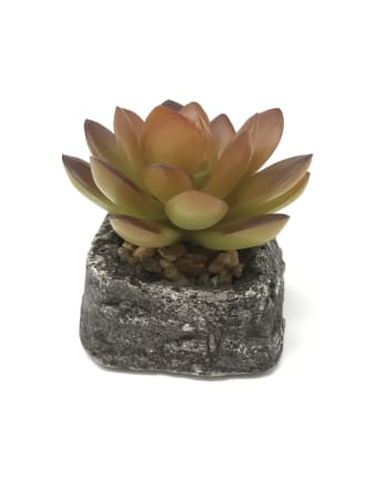 Artificial Mini Succulent - Sepia Modified