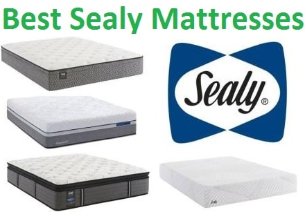 Sealy Posturepedic Exuberant Euro Pillow Top Mattress