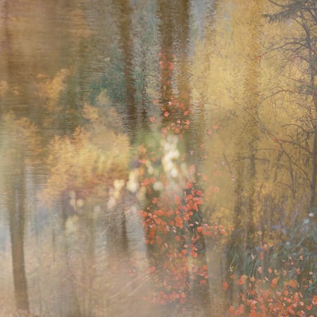 Seasons: Fall