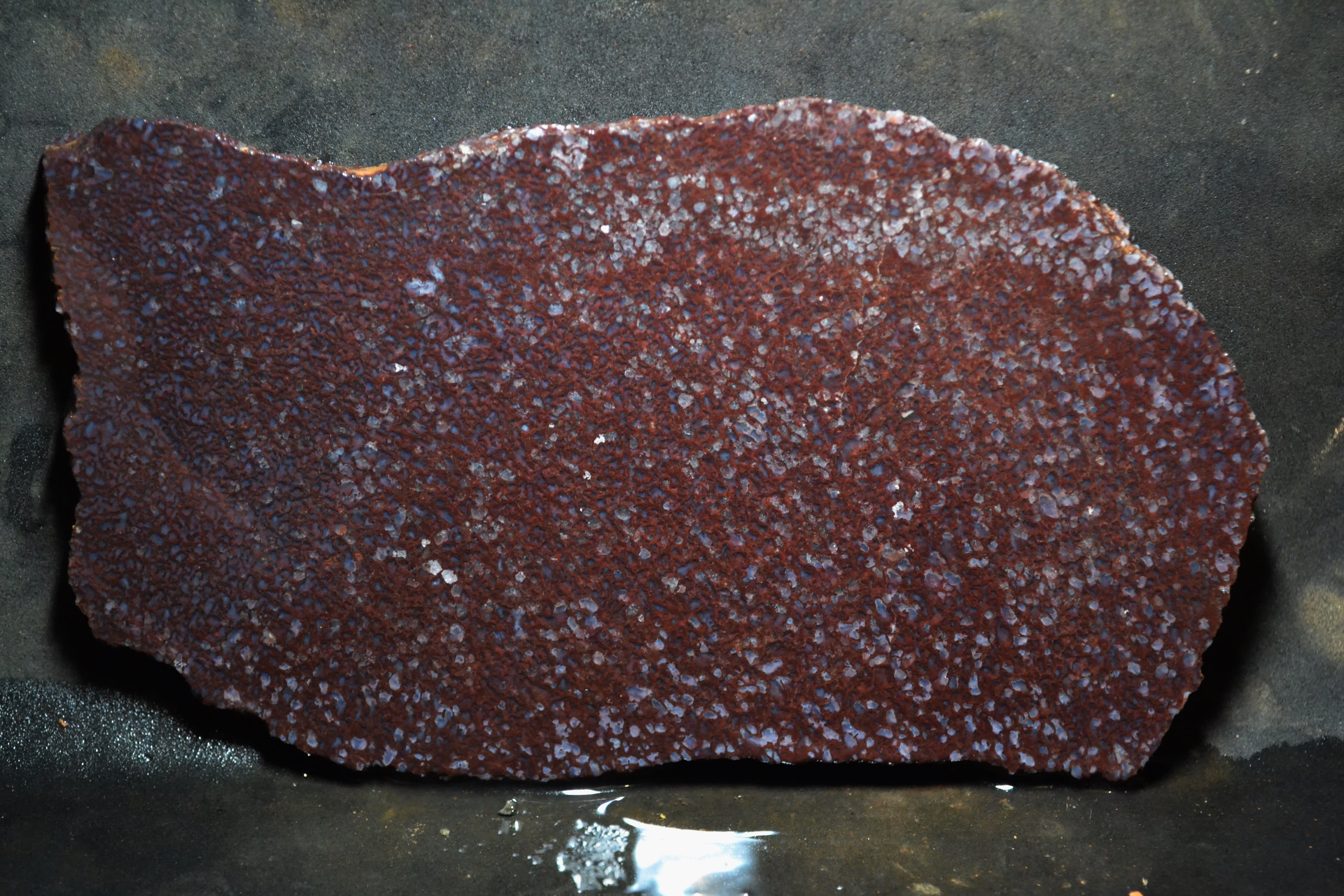 #273 RED WEB DINO BONE