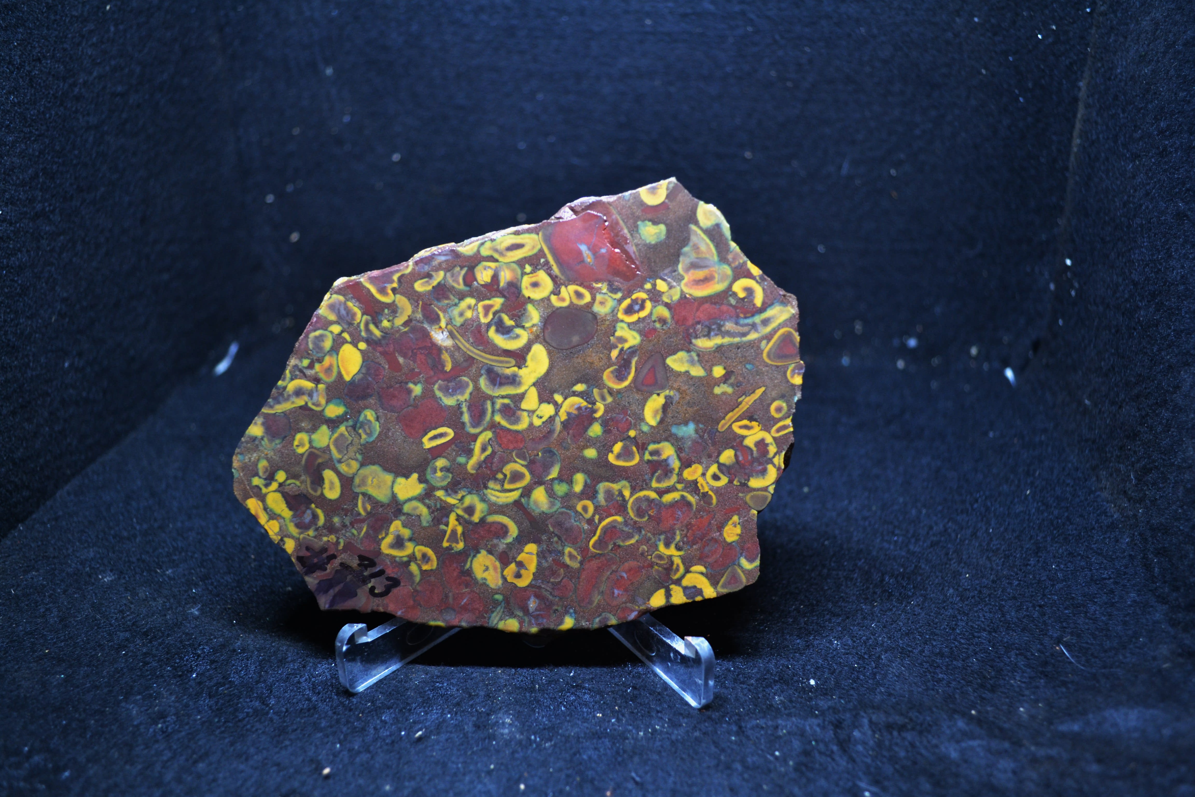 #313    FRUIT JASPER