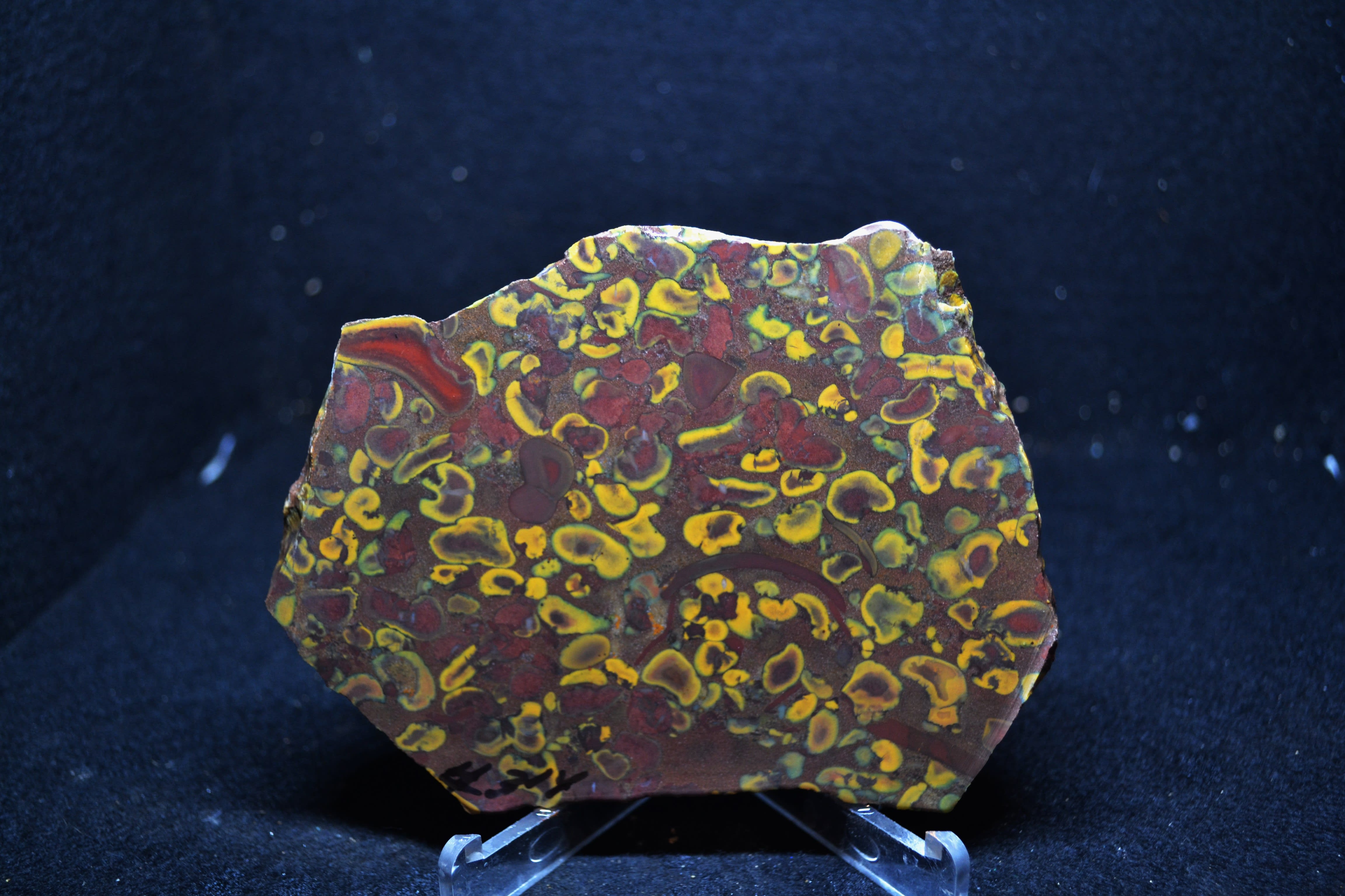 #314 FRUIT JASPER