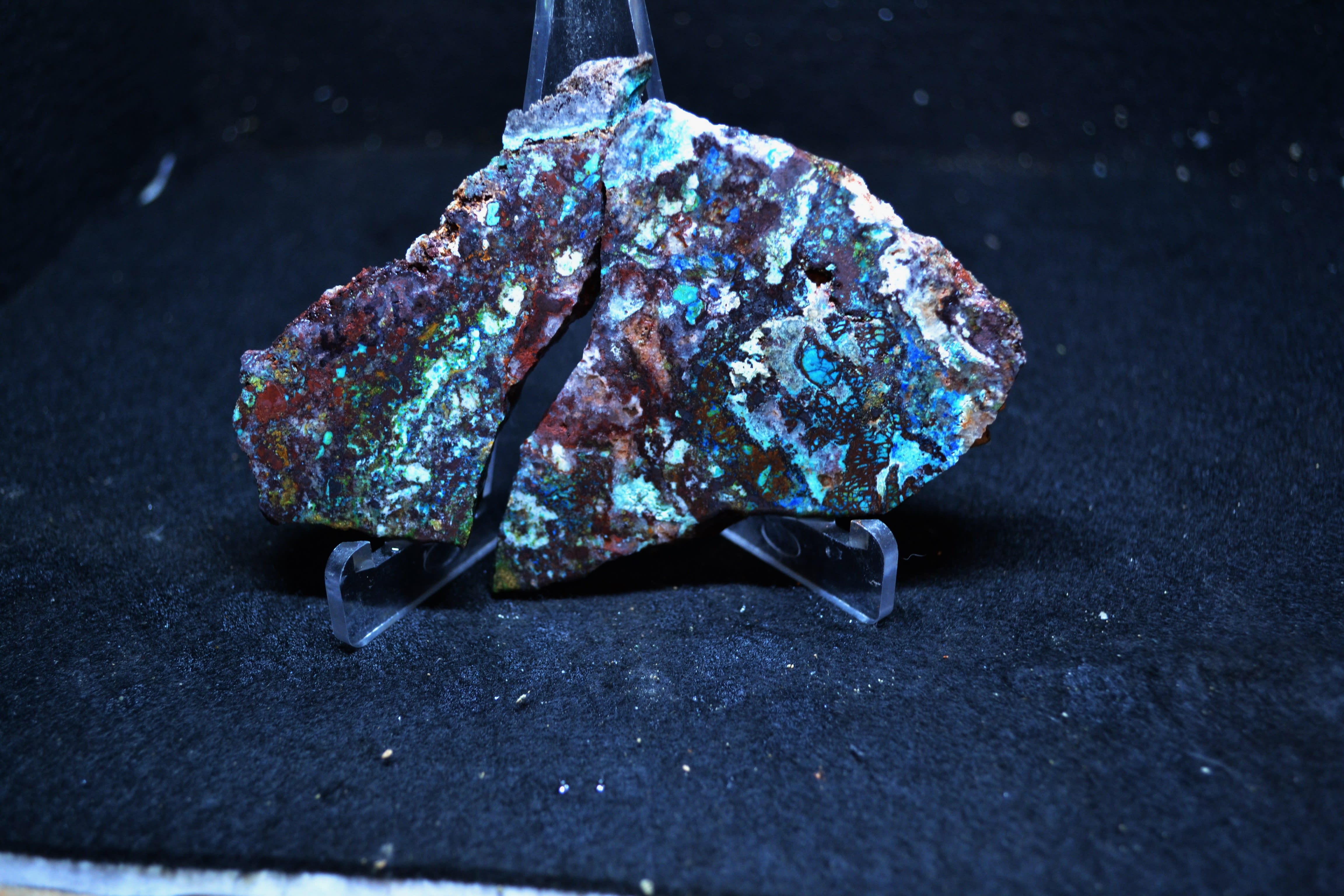 #316 APACHE MIDNIGHT