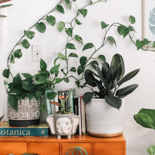 Click to open image in modal.